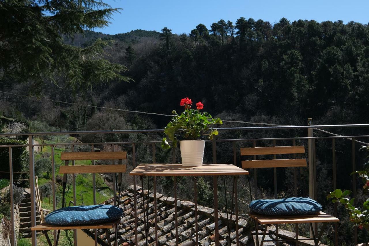 B&B Panoramic 그레베 인 키안티 외부 사진